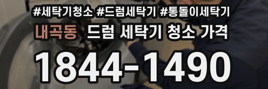 내곡동 드럼 세탁기 청소 가격