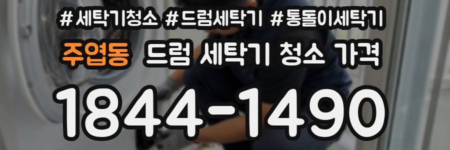 주엽동 드럼 세탁기 청소 가격