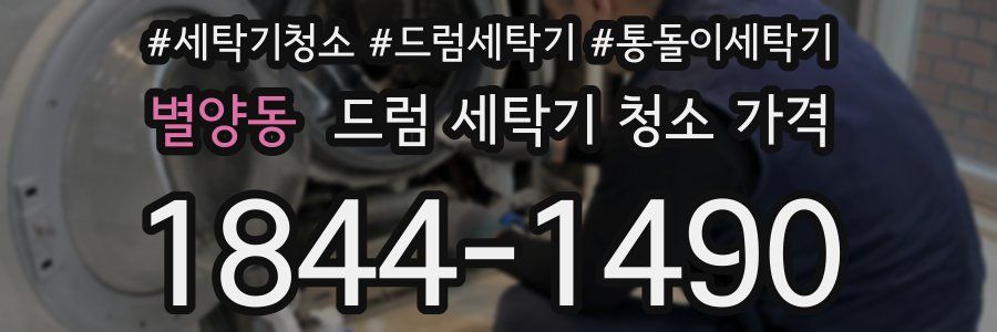별양동 드럼 세탁기 청소 가격