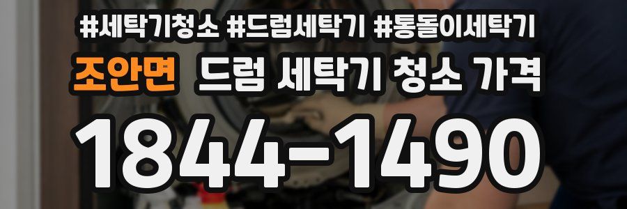 조안면 드럼 세탁기 청소 가격