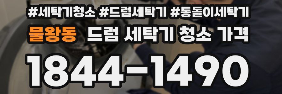 물왕동 드럼 세탁기 청소 가격