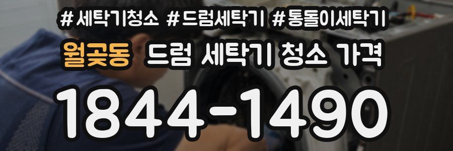 월곶동 드럼 세탁기 청소 가격