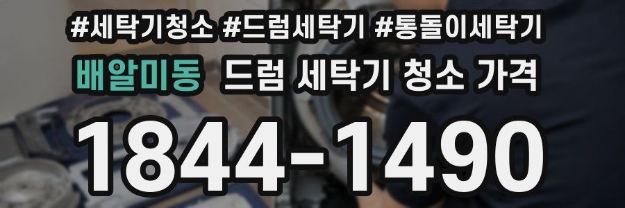 배알미동 드럼 세탁기 청소 가격