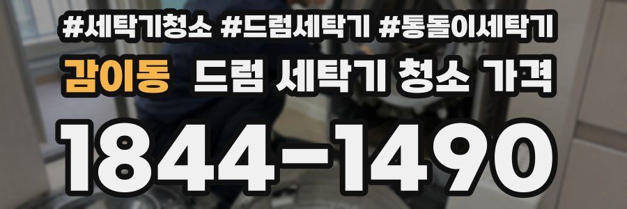 감이동 드럼 세탁기 청소 가격