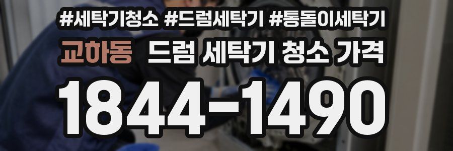 교하동 드럼 세탁기 청소 가격