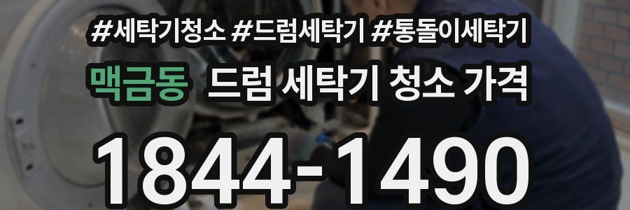 맥금동 드럼 세탁기 청소 가격