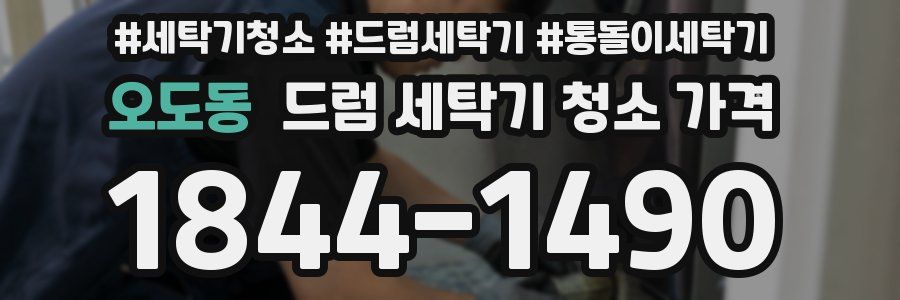 오도동 드럼 세탁기 청소 가격