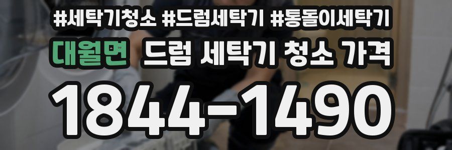 대월면 드럼 세탁기 청소 가격