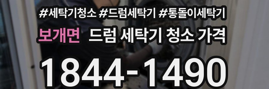 보개면 드럼 세탁기 청소 가격
