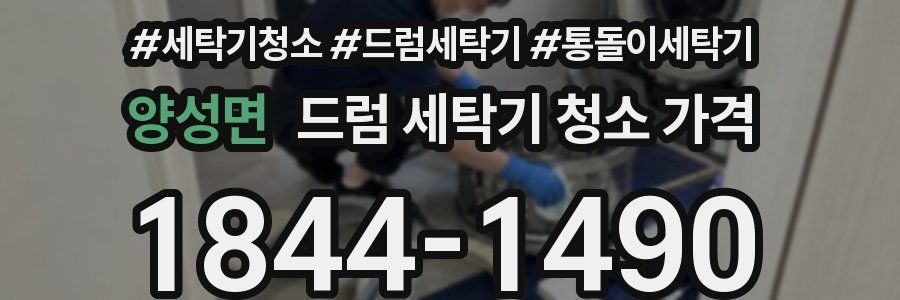 양성면 드럼 세탁기 청소 가격