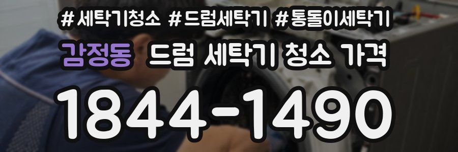 감정동 드럼 세탁기 청소 가격
