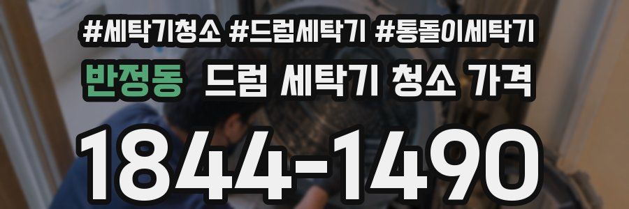 반정동 드럼 세탁기 청소 가격