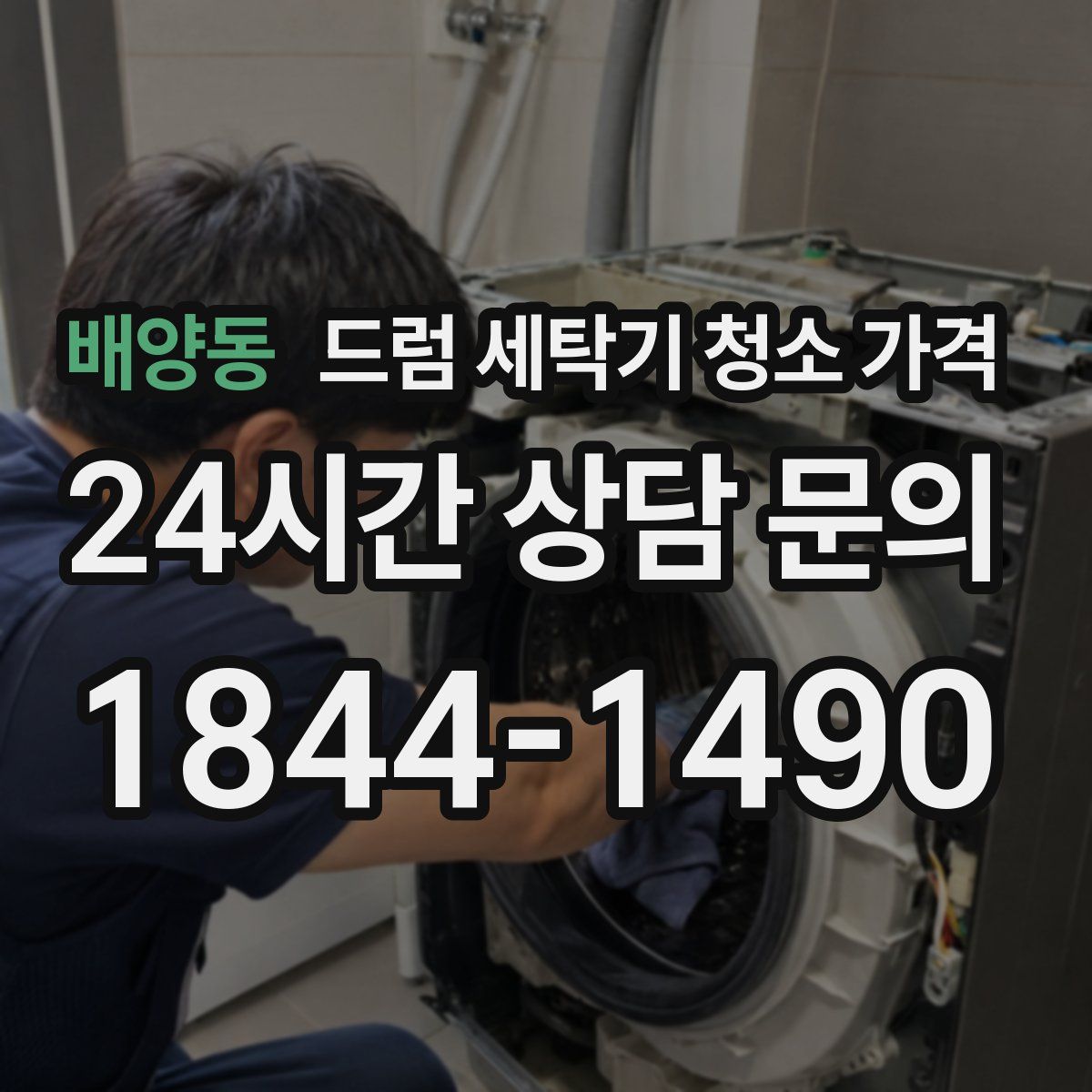 배양동 드럼 세탁기 청소 가격