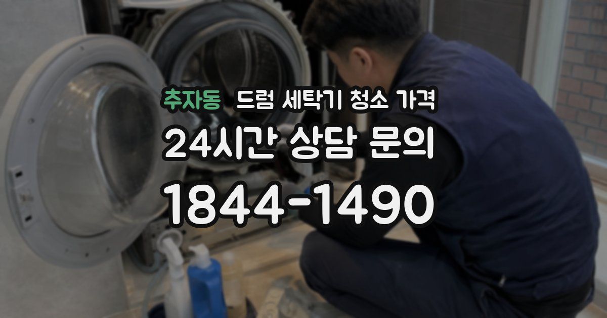 추자동 드럼 세탁기 청소 가격