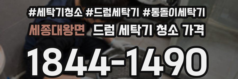 세종대왕면 드럼 세탁기 청소 가격