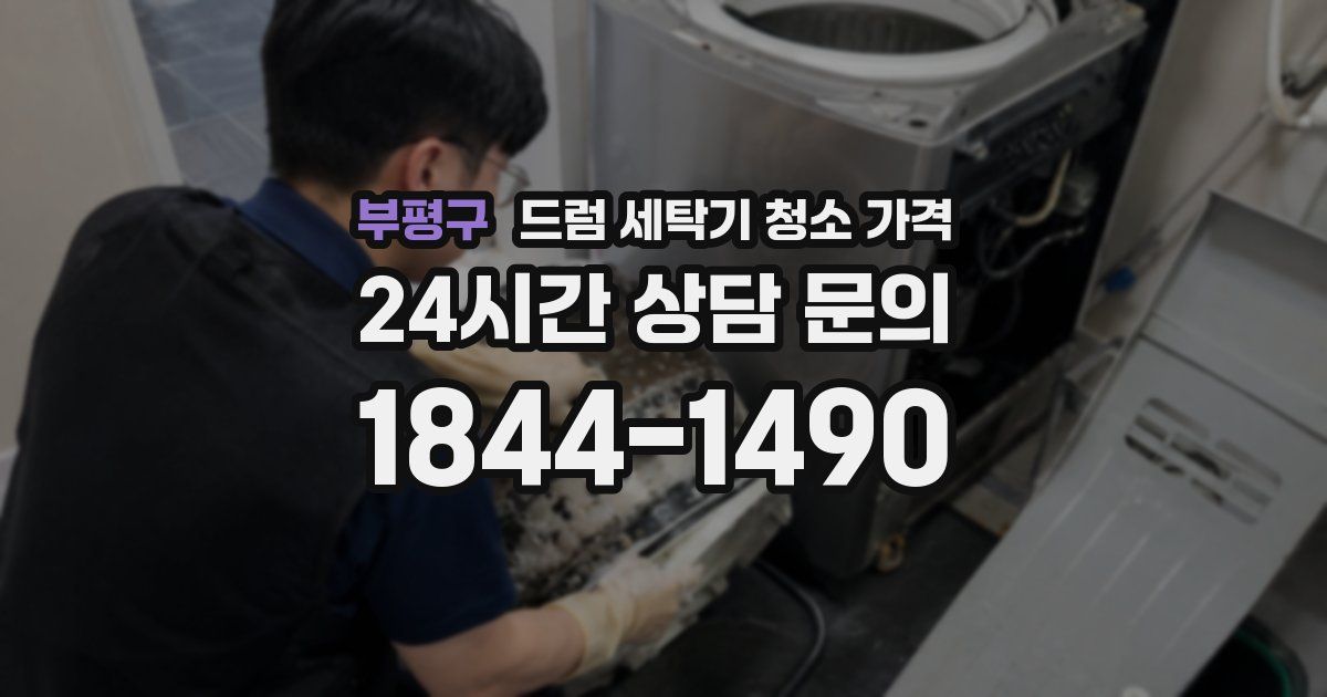 부평구 드럼 세탁기 청소 가격