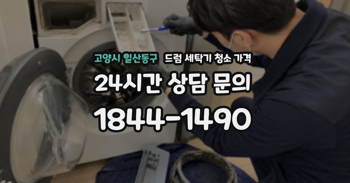 고양시 일산동구 드럼 세탁기 청소 가격