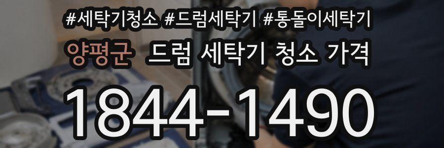 양평군 드럼 세탁기 청소 가격