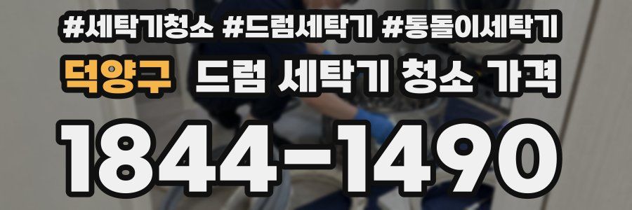 덕양구 드럼 세탁기 청소 가격