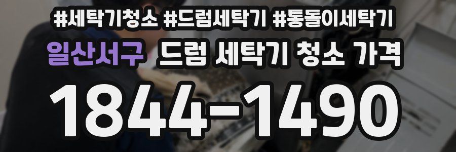일산서구 드럼 세탁기 청소 가격