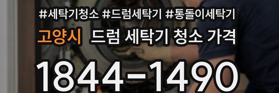 고양시 드럼 세탁기 청소 가격