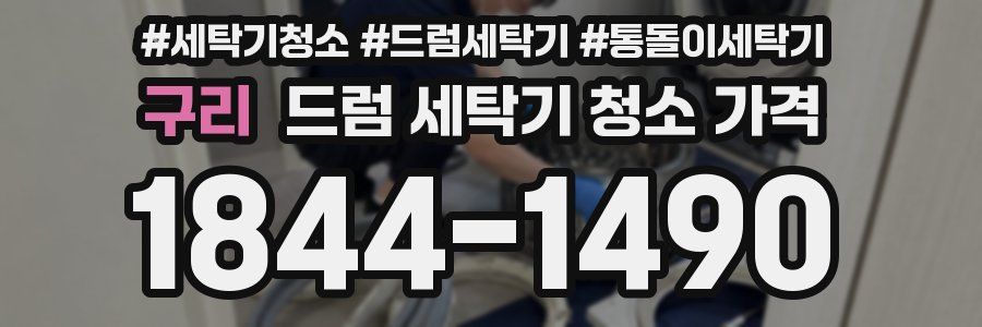 구리 드럼 세탁기 청소 가격