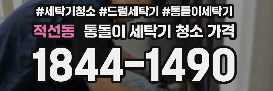 적선동 통돌이 세탁기 청소 가격