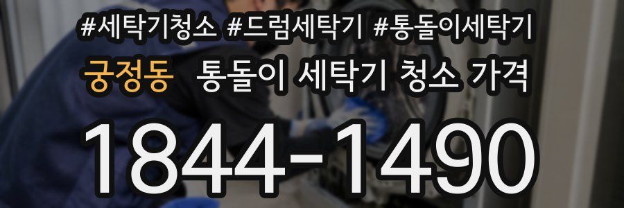 궁정동 통돌이 세탁기 청소 가격