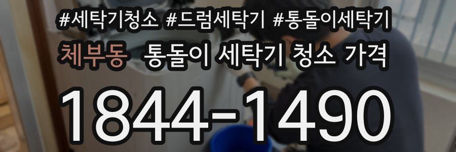 체부동 통돌이 세탁기 청소 가격