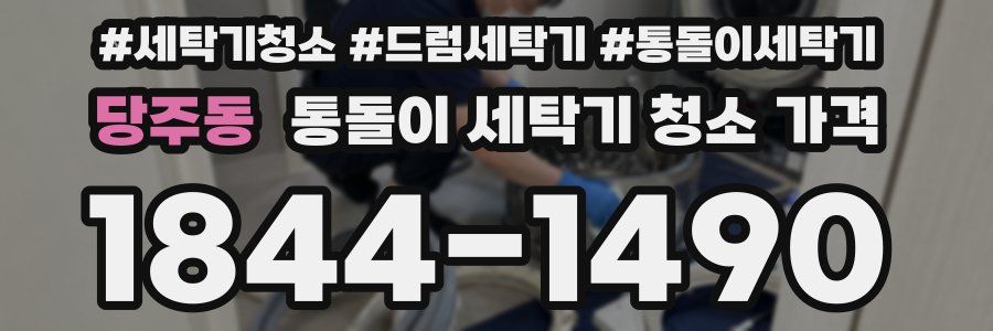당주동 통돌이 세탁기 청소 가격