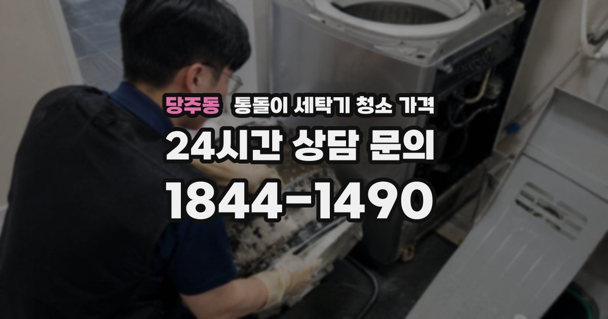 당주동 통돌이 세탁기 청소 가격