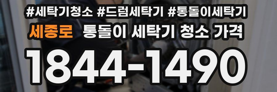 세종로 통돌이 세탁기 청소 가격
