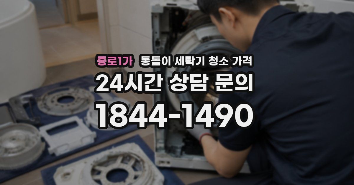 종로1가 통돌이 세탁기 청소 가격