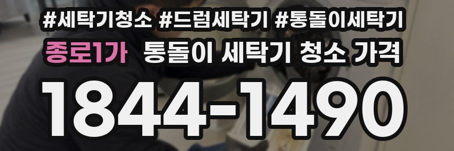 종로1가 통돌이 세탁기 청소 가격