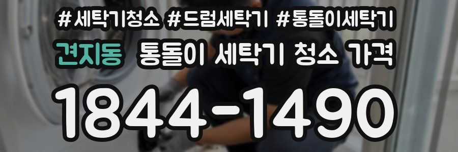 견지동 통돌이 세탁기 청소 가격
