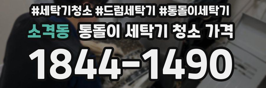 소격동 통돌이 세탁기 청소 가격