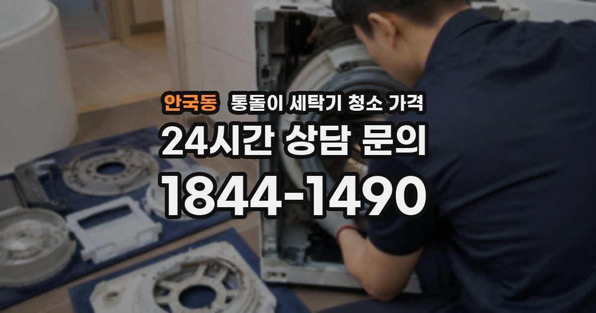 안국동 통돌이 세탁기 청소 가격