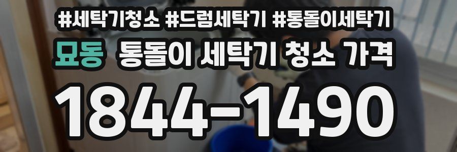 묘동 통돌이 세탁기 청소 가격
