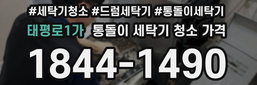 태평로1가 통돌이 세탁기 청소 가격