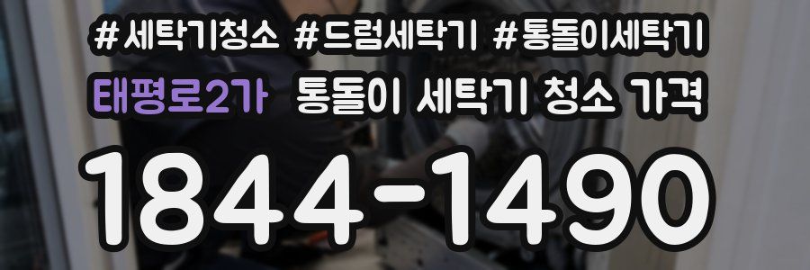 태평로2가 통돌이 세탁기 청소 가격