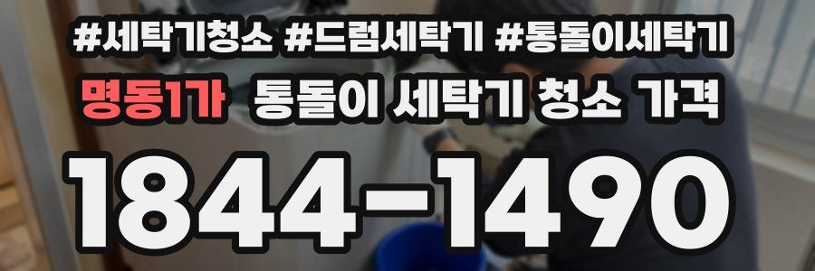 명동1가 통돌이 세탁기 청소 가격
