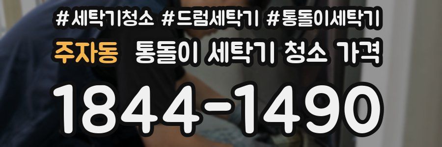 주자동 통돌이 세탁기 청소 가격