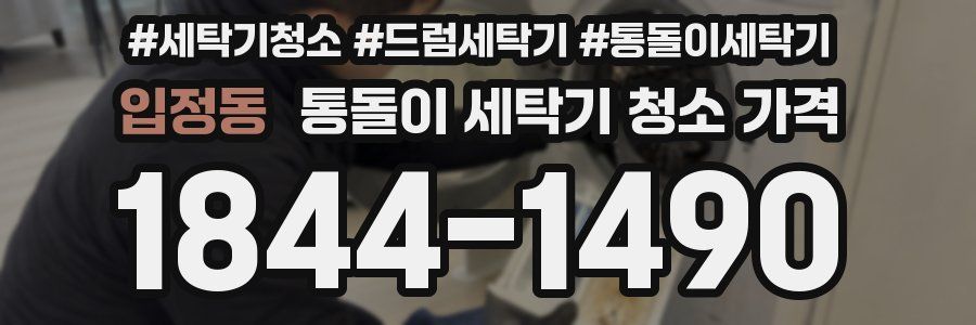 입정동 통돌이 세탁기 청소 가격