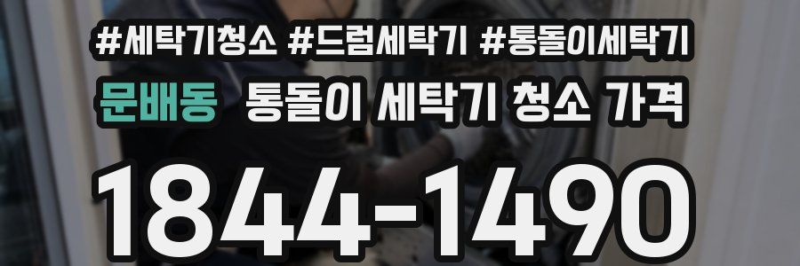문배동 통돌이 세탁기 청소 가격