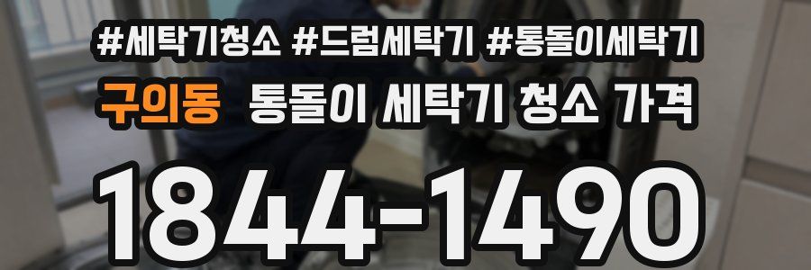 구의동 통돌이 세탁기 청소 가격