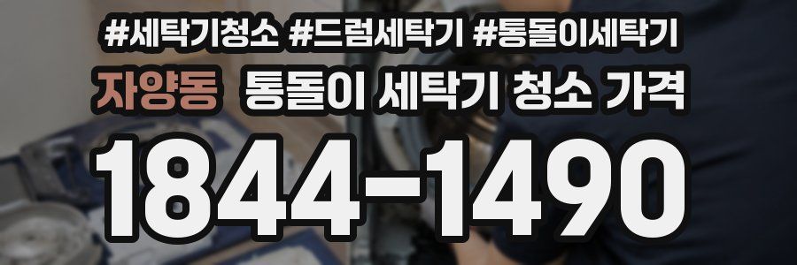 자양동 통돌이 세탁기 청소 가격