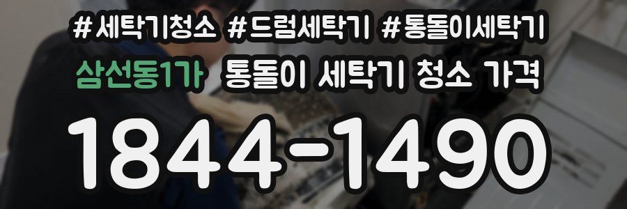 삼선동1가 통돌이 세탁기 청소 가격