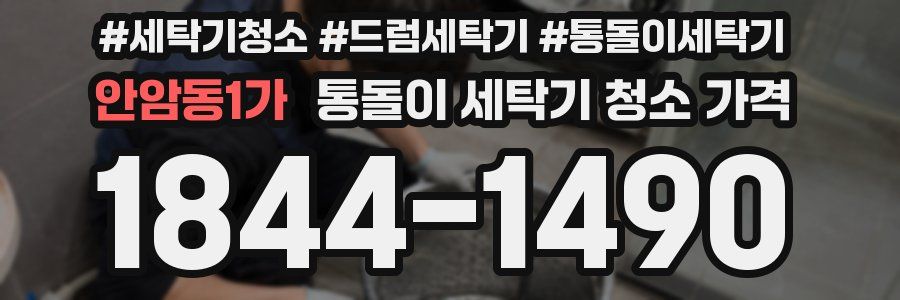 안암동1가 통돌이 세탁기 청소 가격