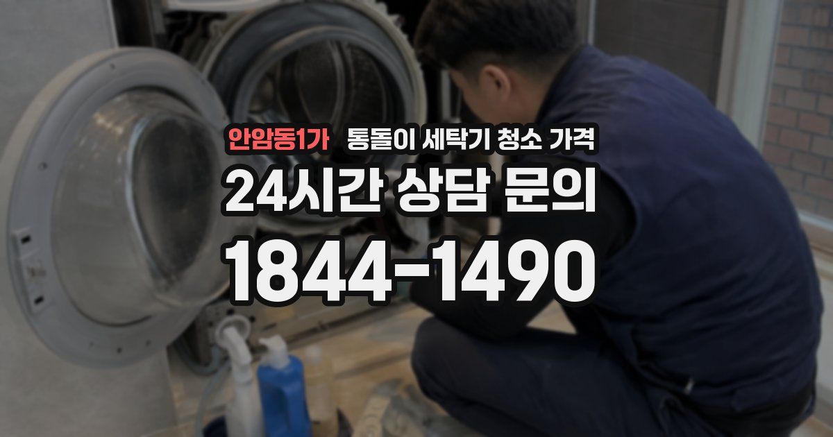 안암동1가 통돌이 세탁기 청소 가격