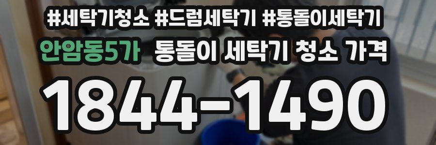 안암동5가 통돌이 세탁기 청소 가격